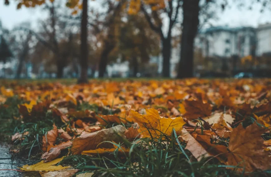 Why Do I Need an AC Unit Inspection Before it Gets Cold?